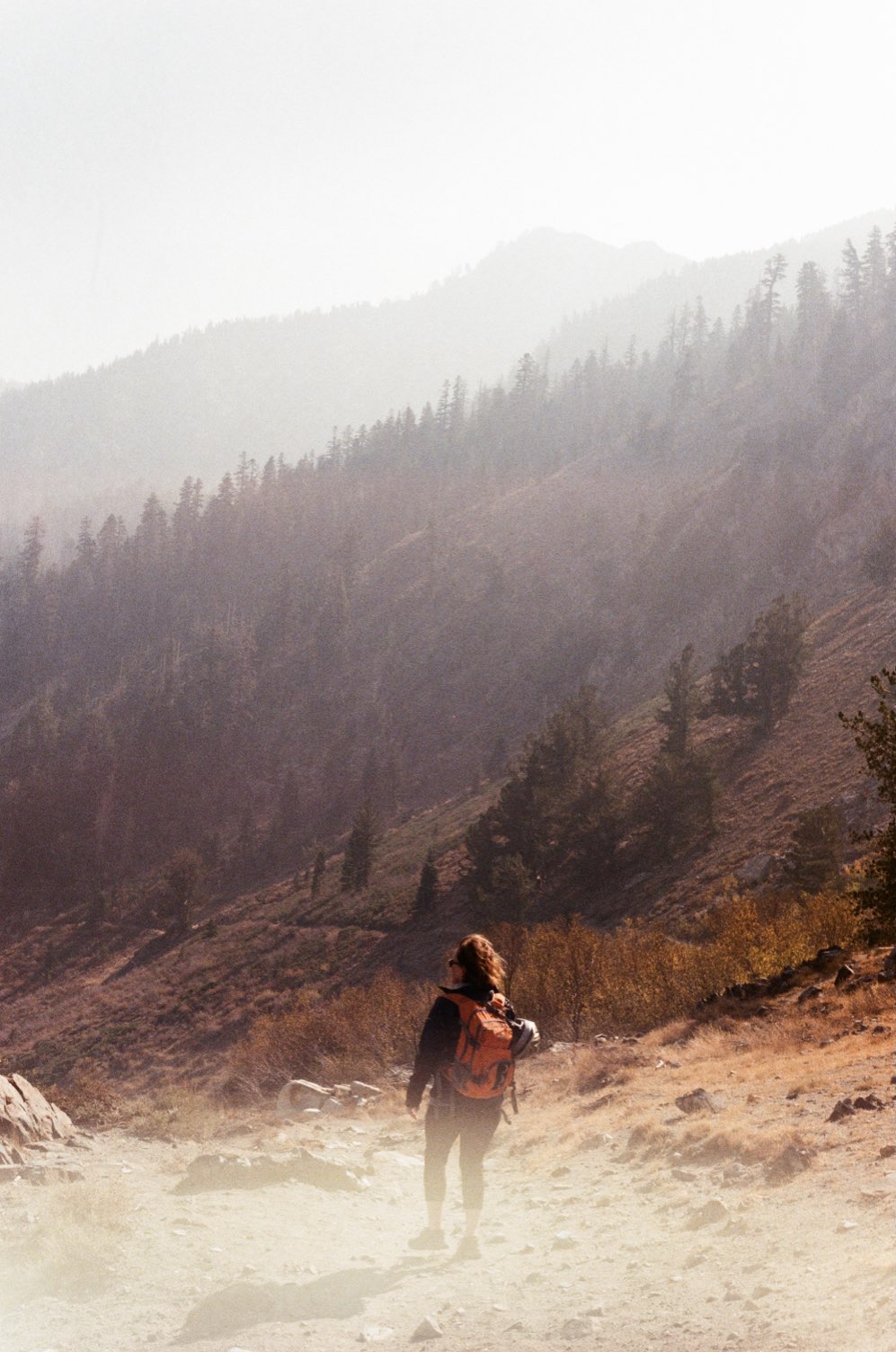 A hiker on a hazy mountain trail