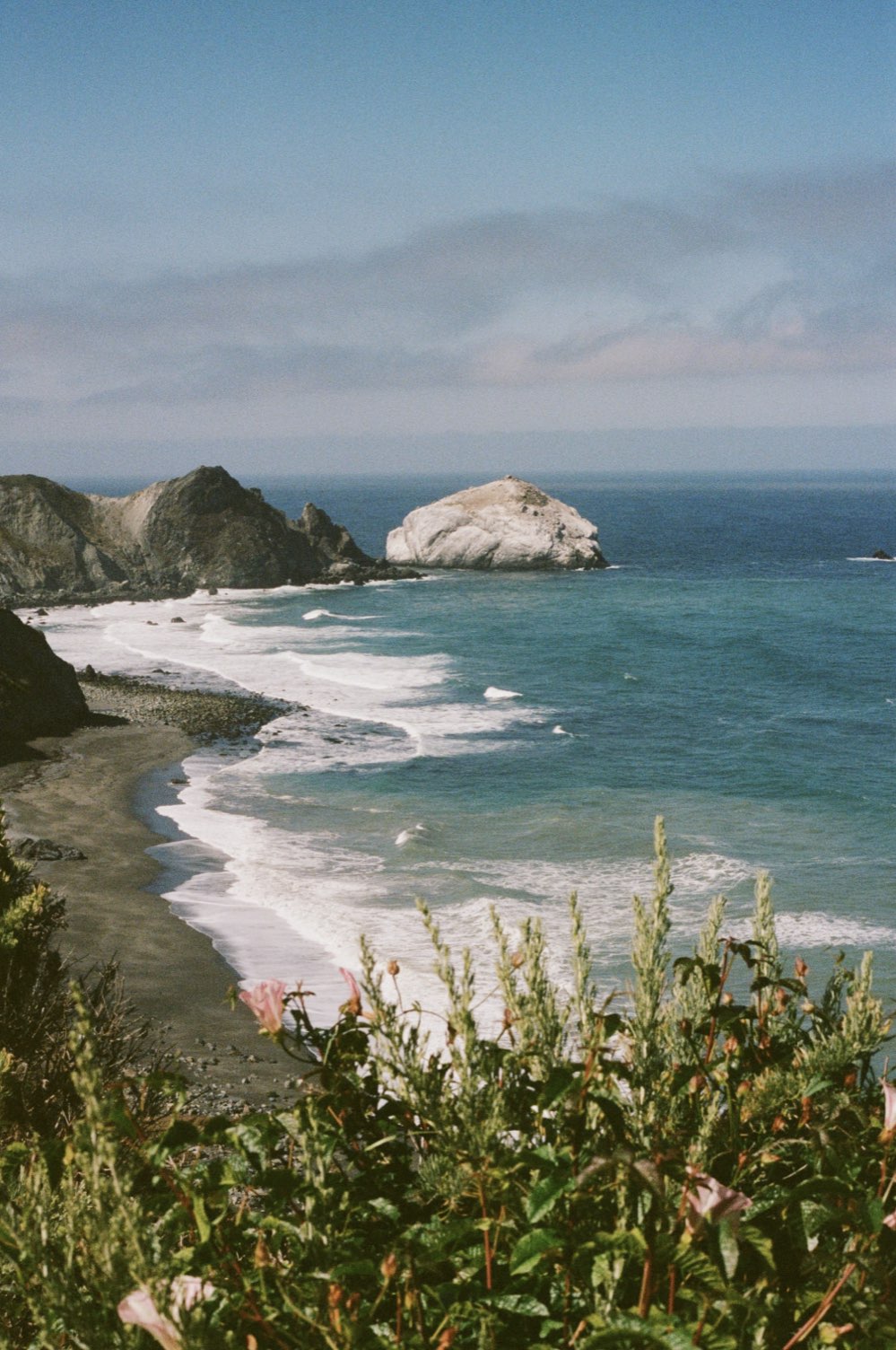 A cove and sea stack framed by coastal brush
