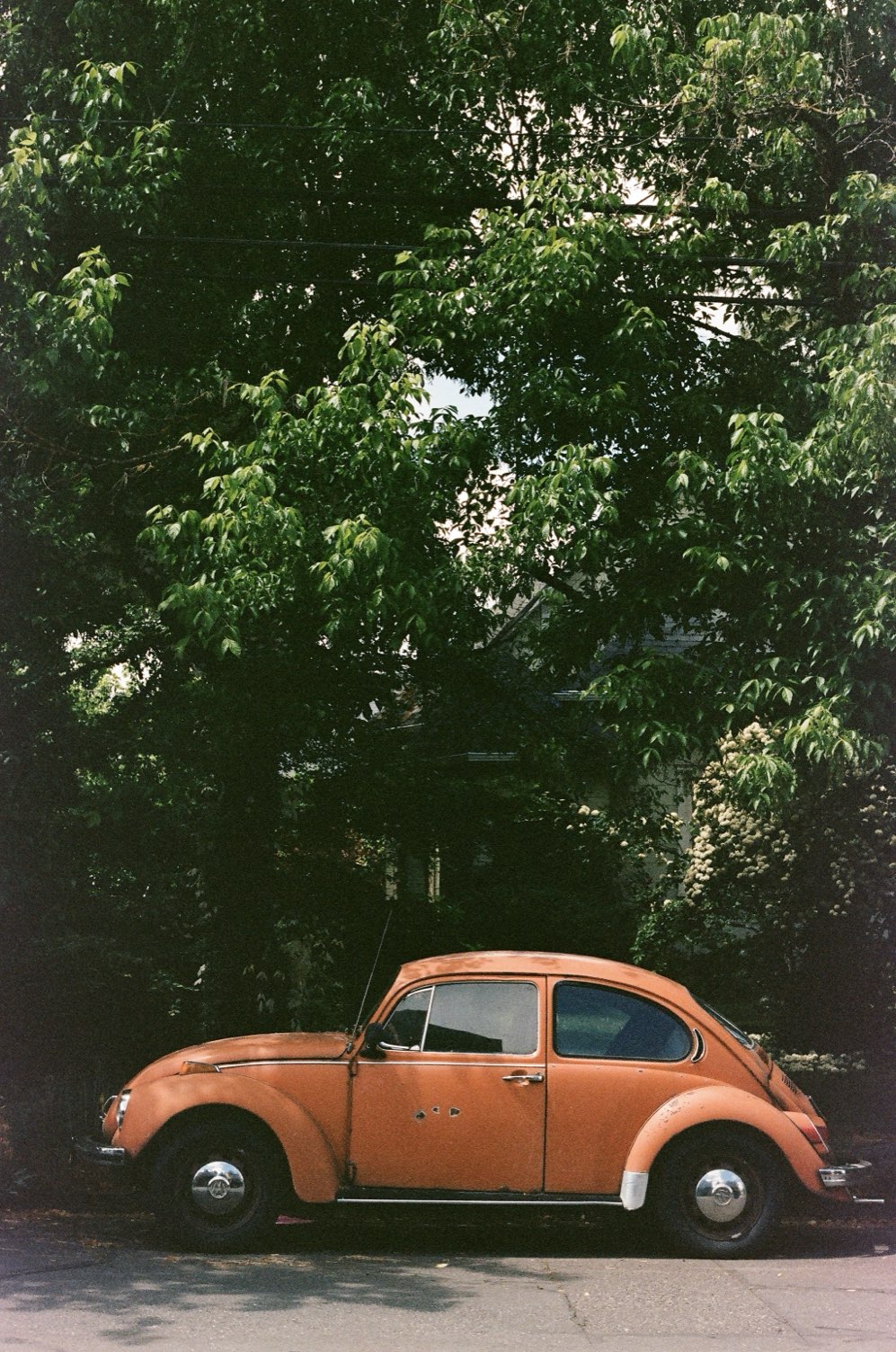 An orange Volkswagen Beetle parked under shade trees
