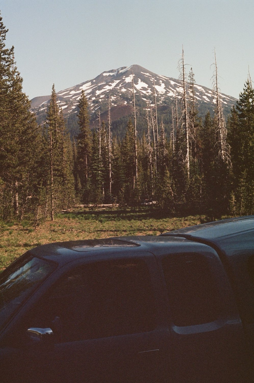 A snowy volcano behind burnt pines and a truck