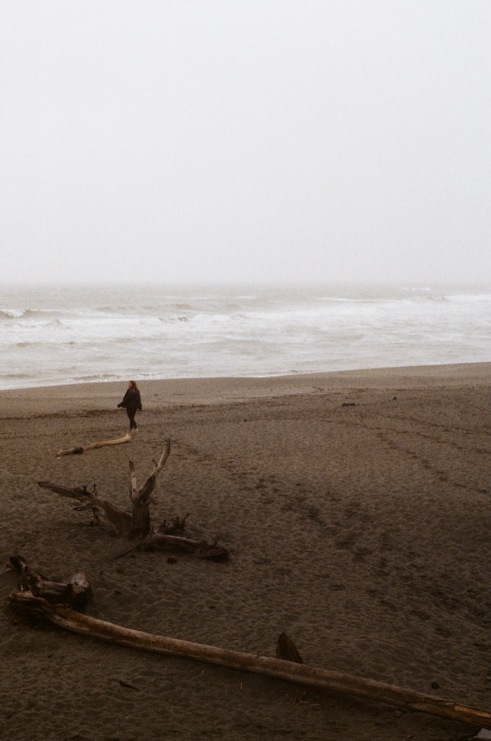 A person walking a foggy beach scattered with driftwood